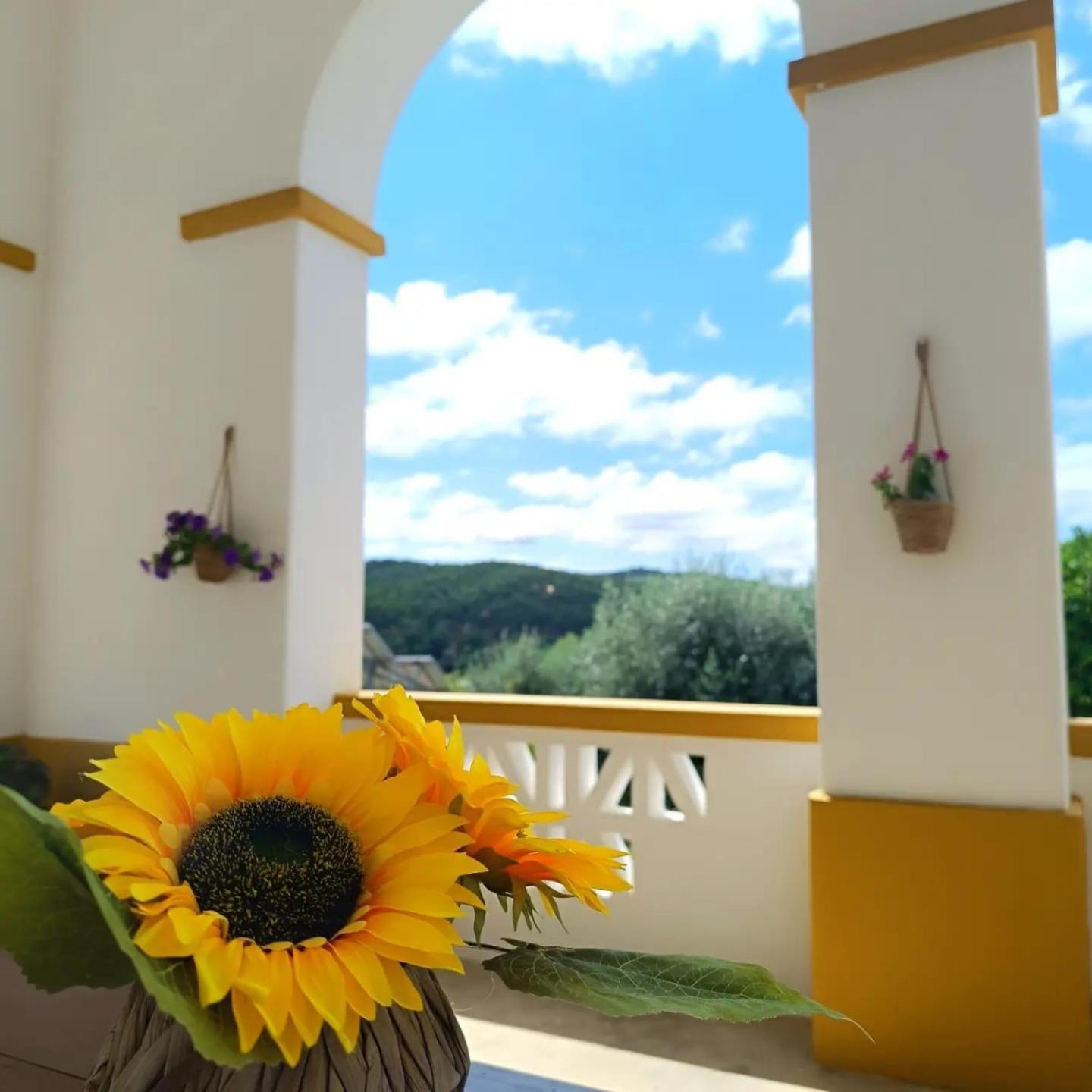 Casa Da Praia Do Ribatejo エクステリア 写真